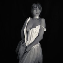 Spotlight Series: Idrill